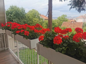 Apartman Laganin